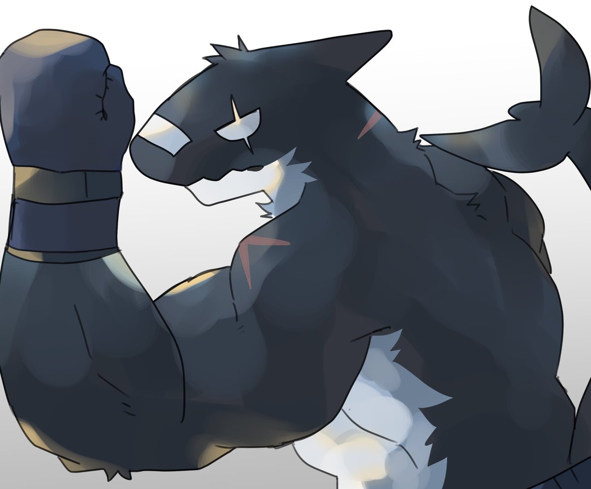 Guin🦈 tweet media