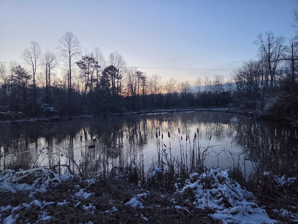 Jonathan Martin tweet media