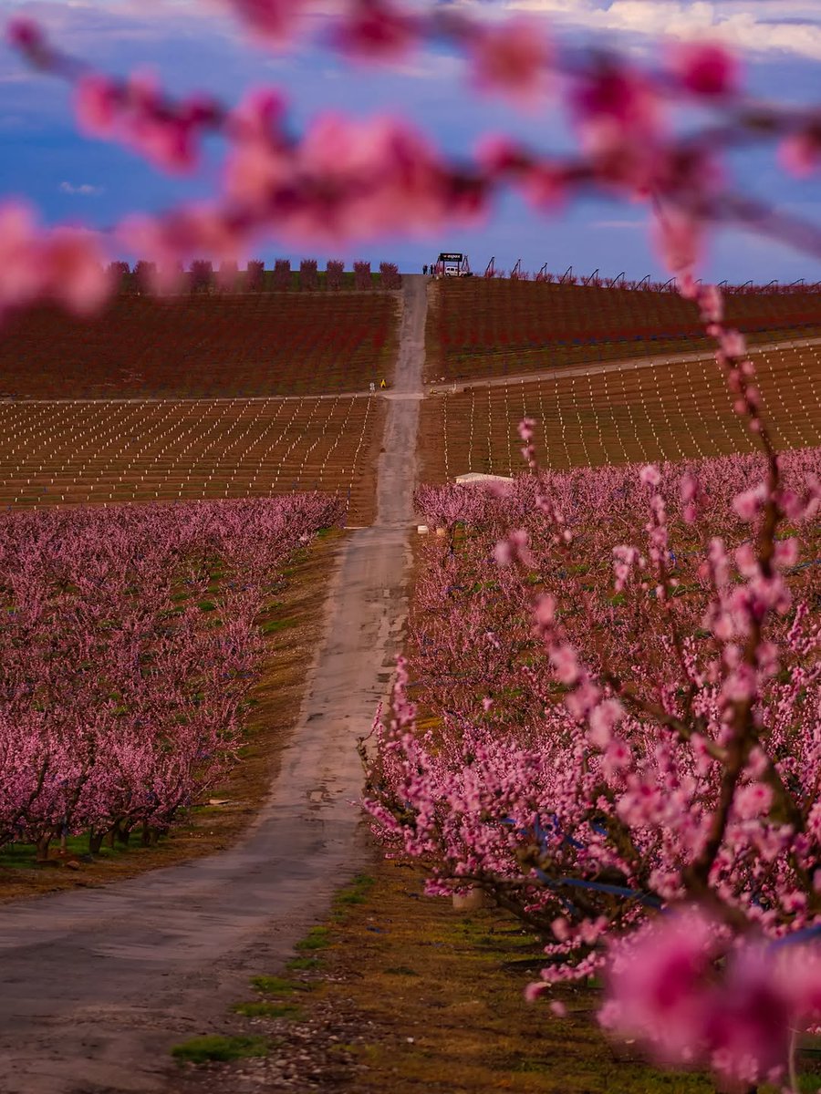 Segrià Turisme tweet media