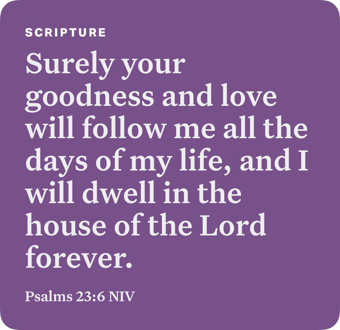 Craig Connor tweet media