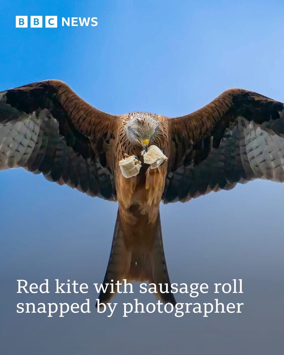 dominic dyer tweet media