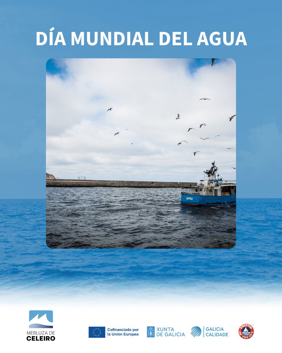 MerluzaDeCeleiro tweet media