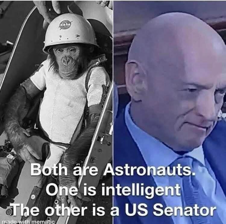 MichelleJ tweet media