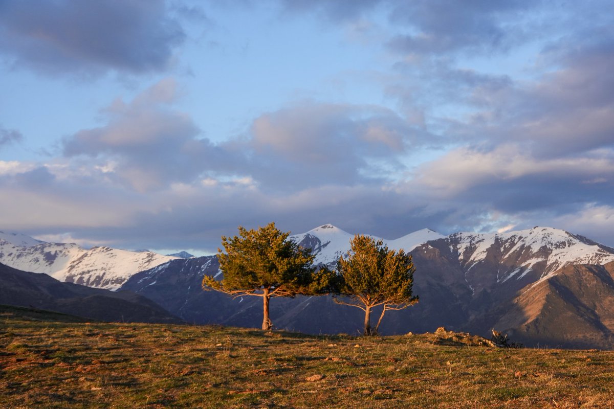 Toño Cañadas tweet media