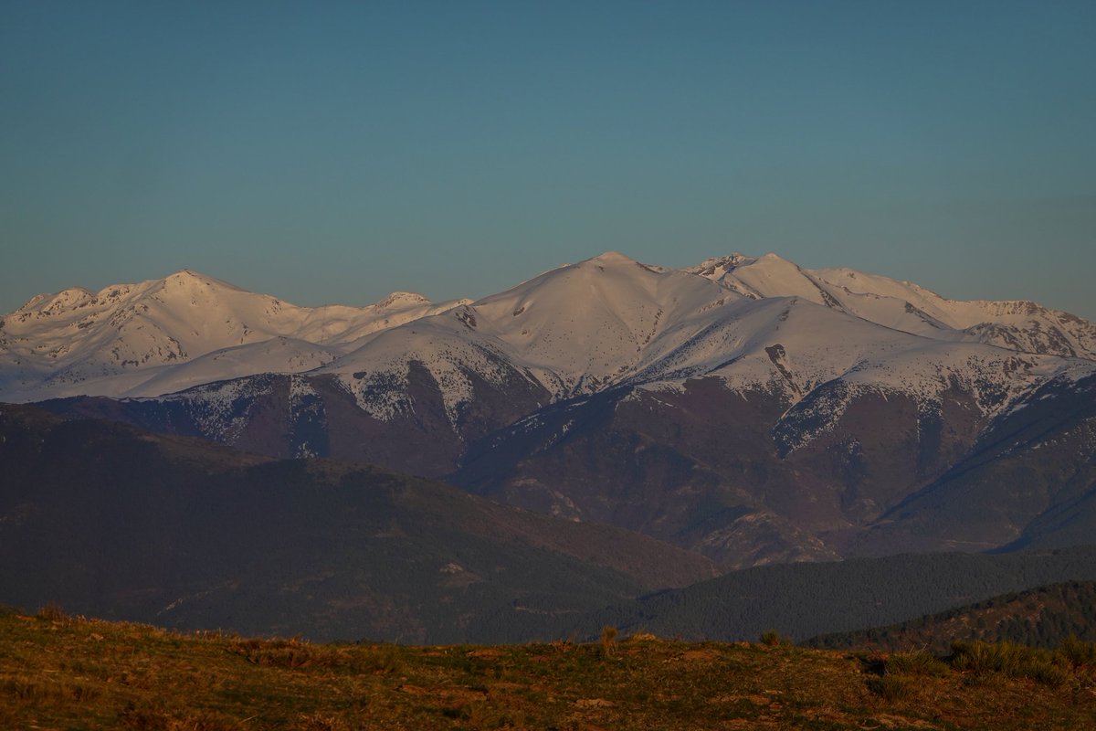 Toño Cañadas tweet media