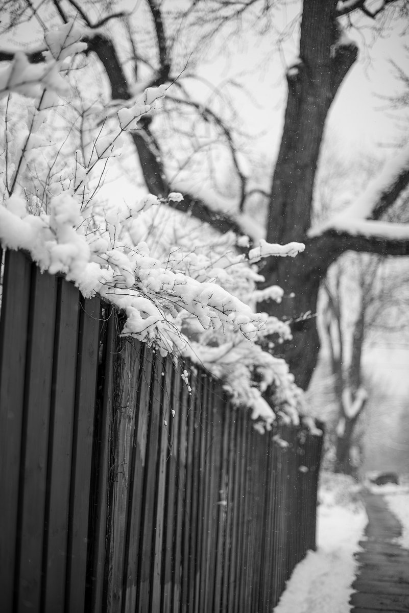 Mark Shaar tweet media