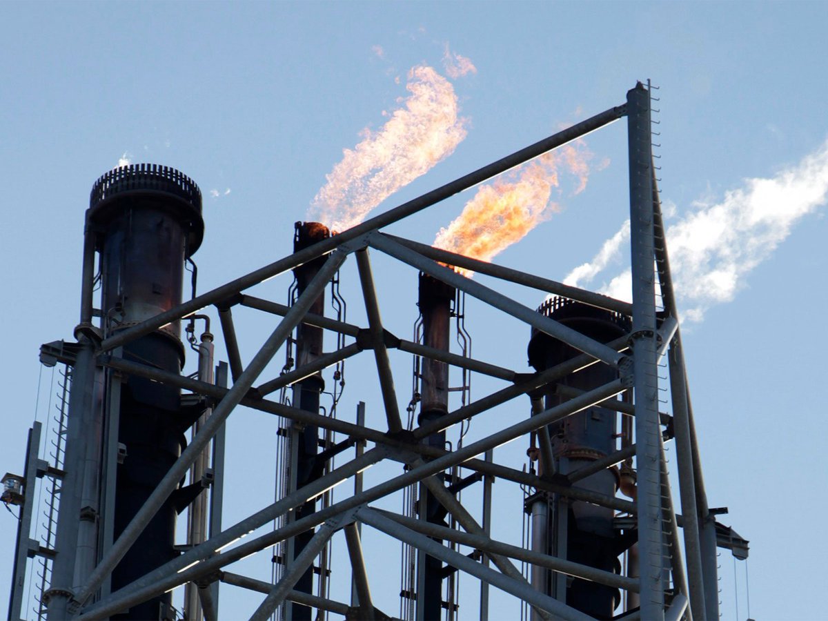 RABISH POST tweet media