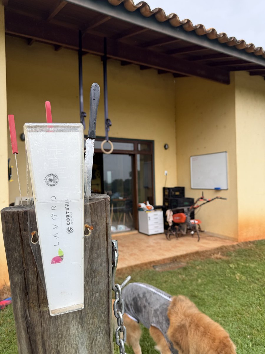 Camarada Web3𓂀 tweet media