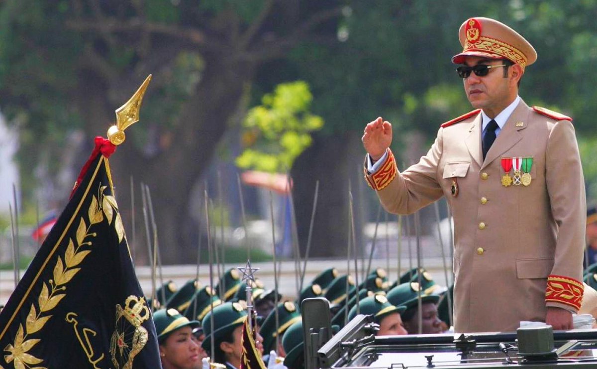 Alex Xplore tweet media