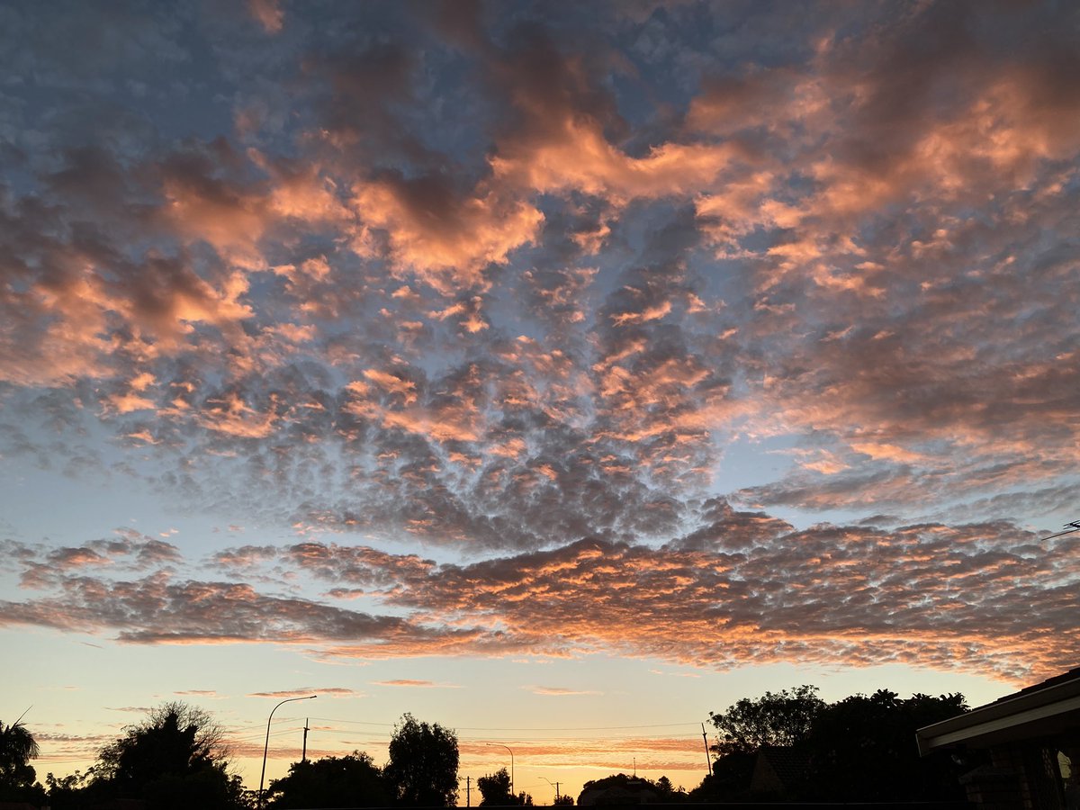 paul gallagher tweet media