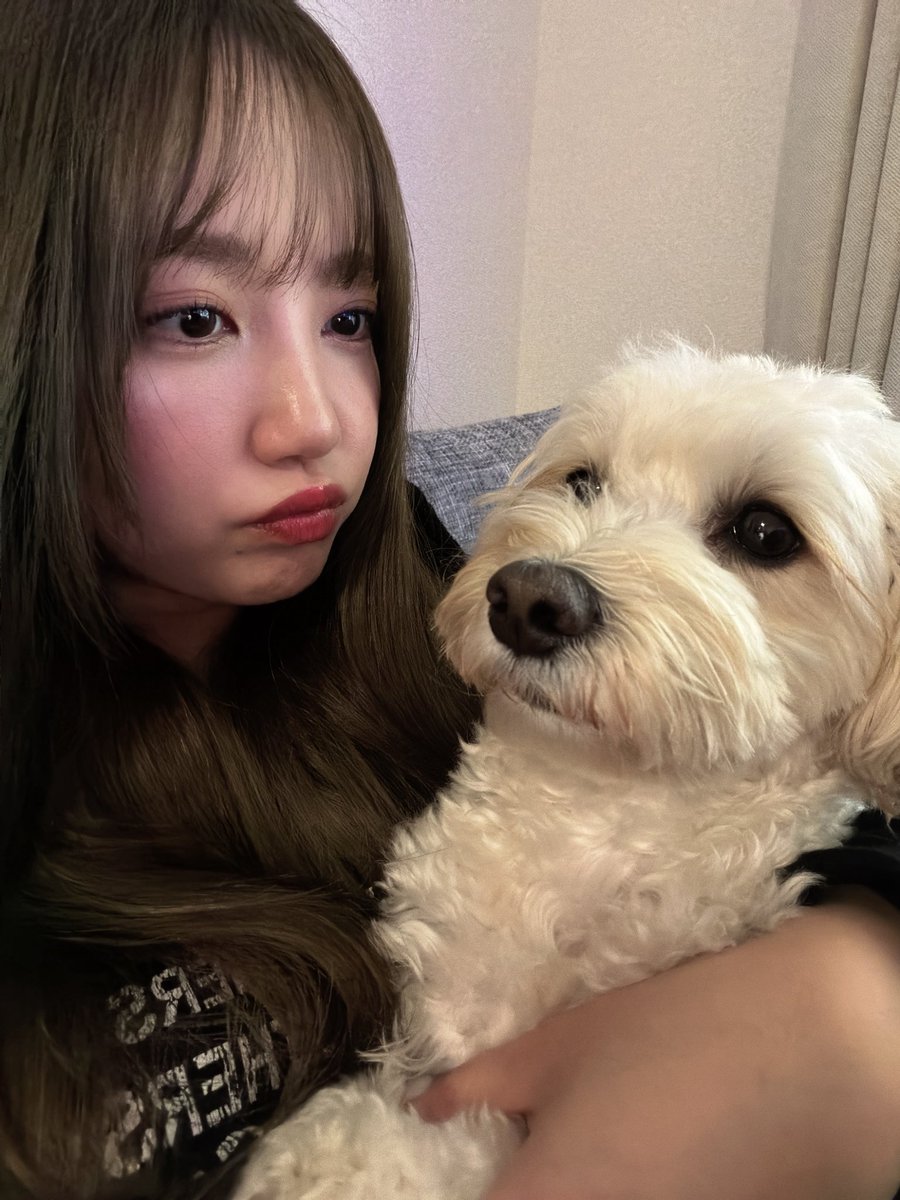 加藤玲奈 tweet media