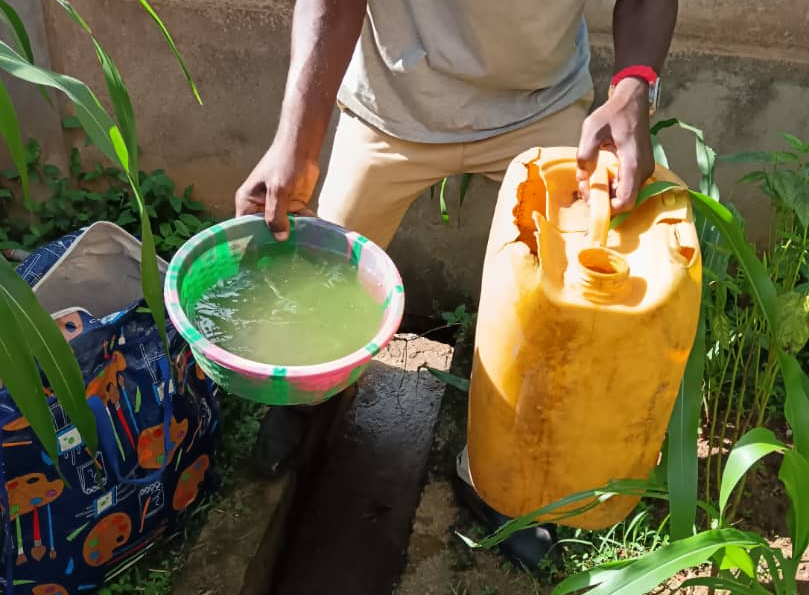 LSHTM RAFT tweet media