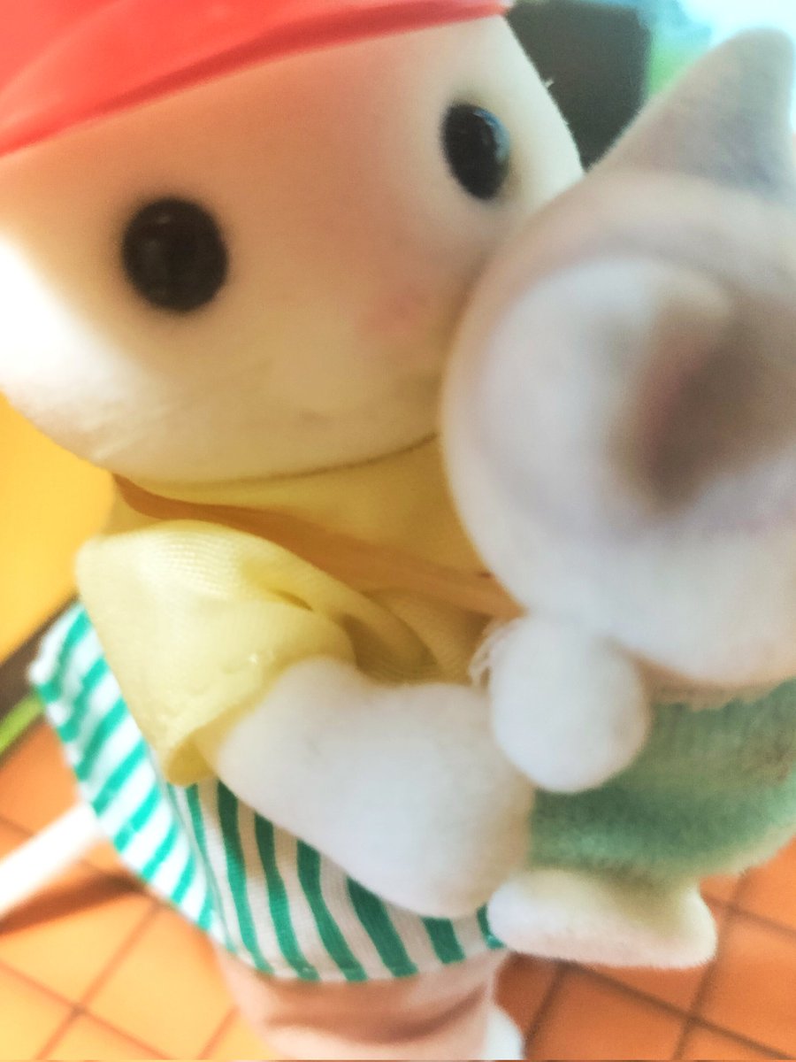 カルミン tweet media