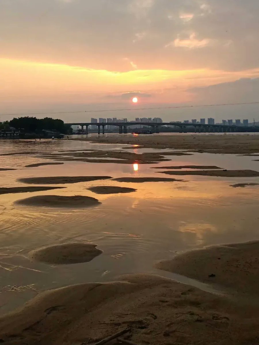 ana sofia longo tweet media