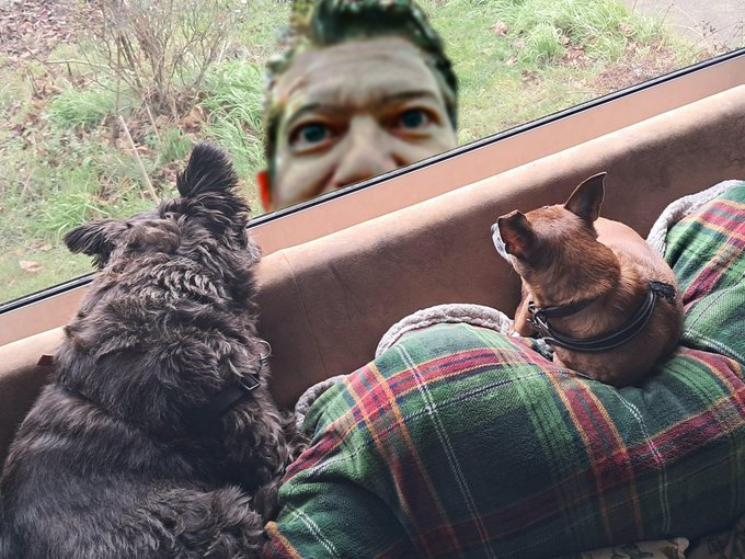 Help Desk Inf ⭕️ tweet media