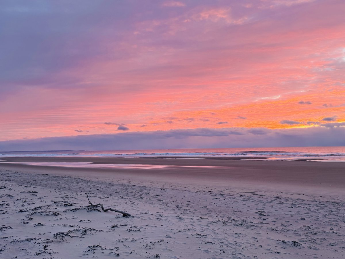 Realtor Rick 💙 tweet media