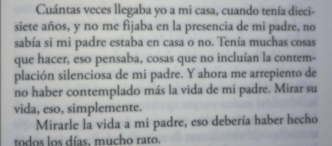 Alejandro P. López tweet media
