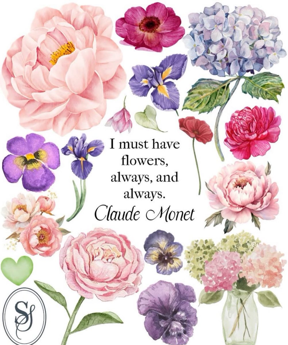 Elle Lookbook tweet media