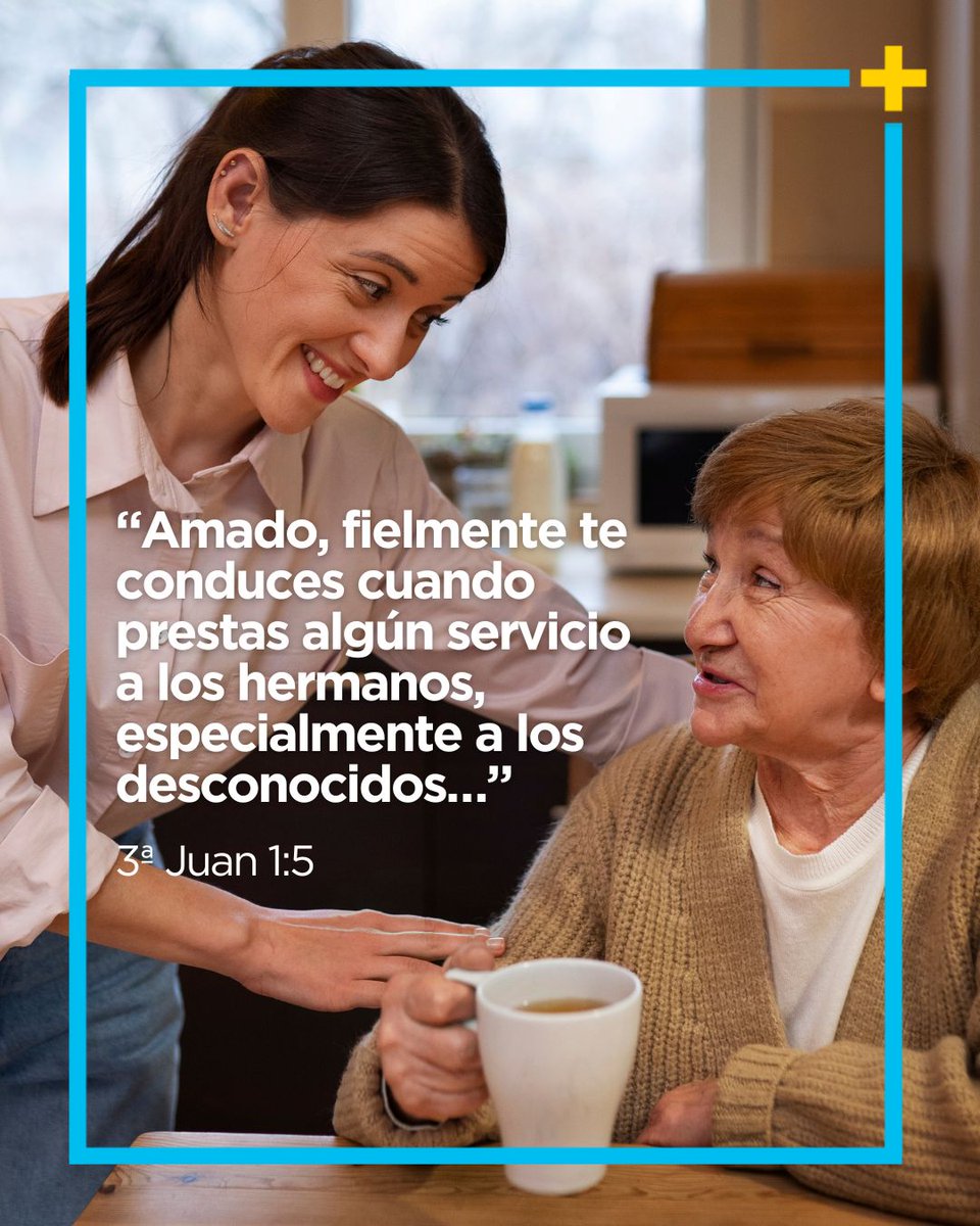 canalLUZ tweet media