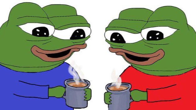 feedmycat tweet media