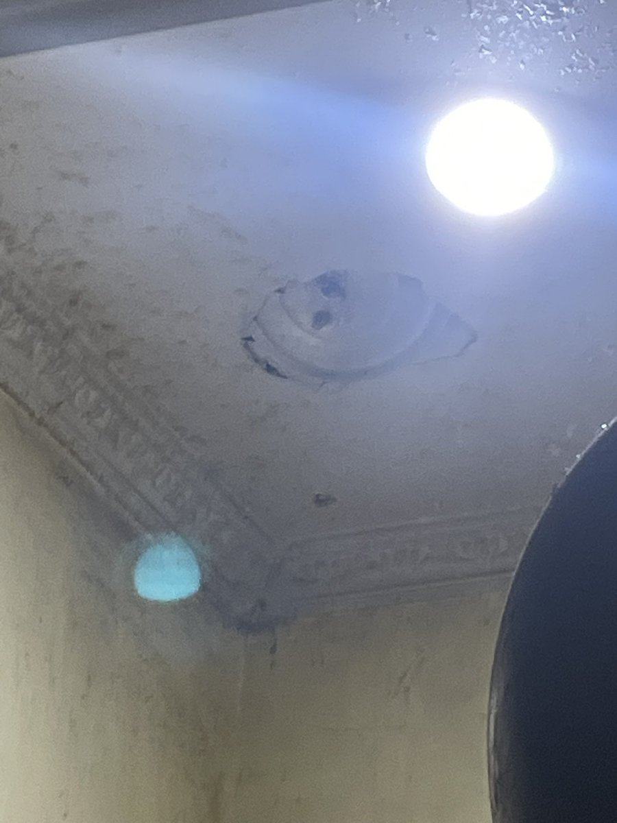 nesse ʚଓ tweet media