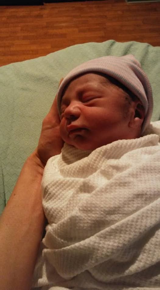 Native American Chief tweet media