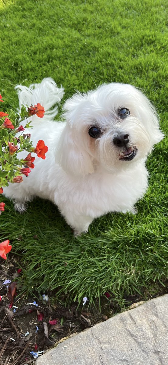 Holly🌈 tweet media