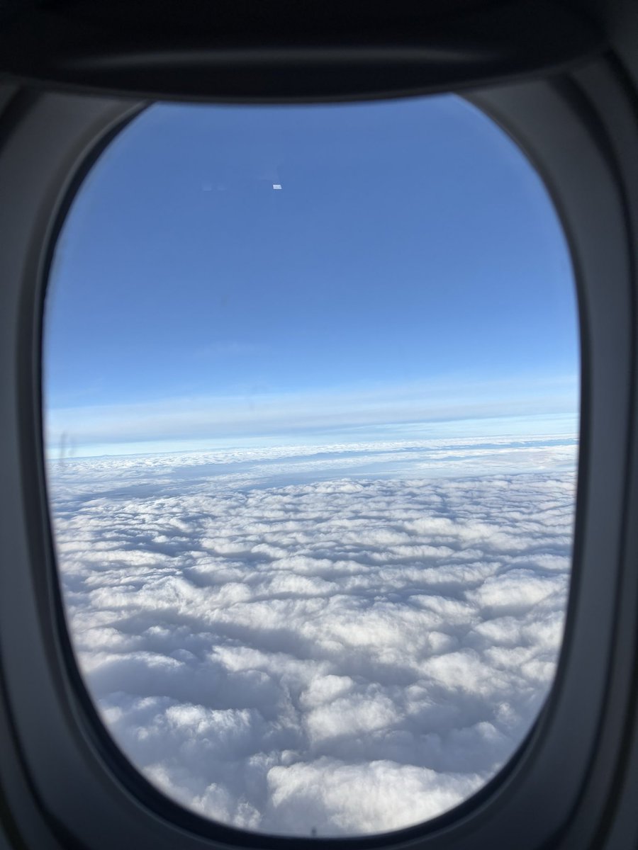 Nacho AF tweet media