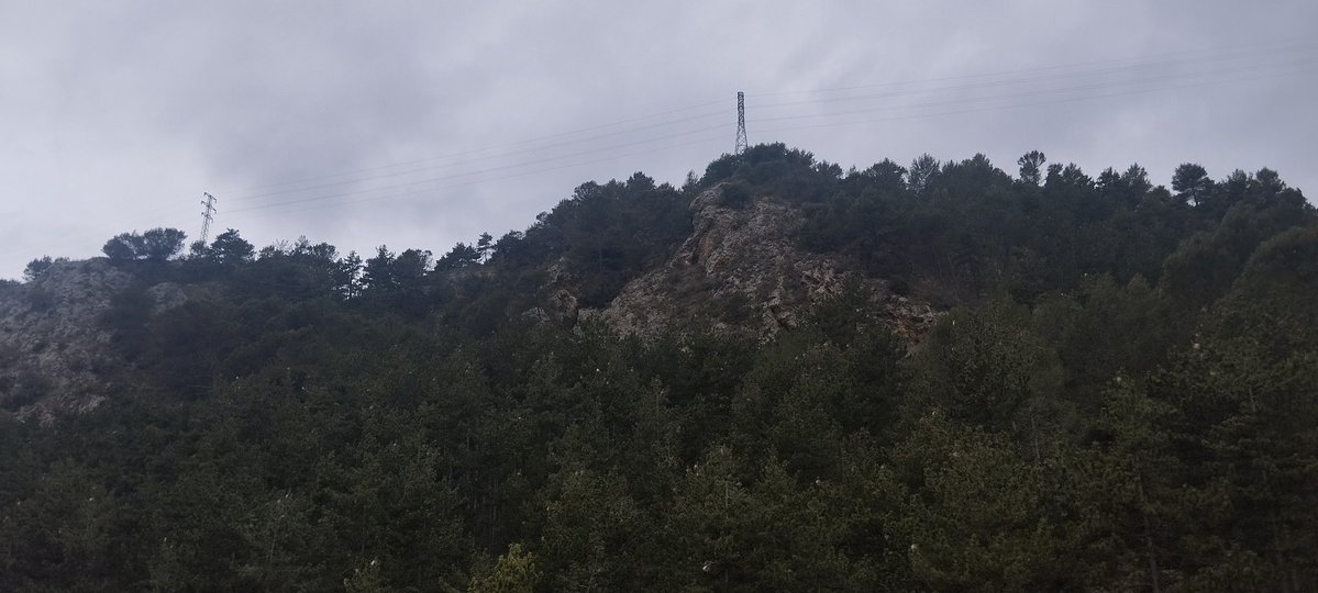 AngieRock tweet media