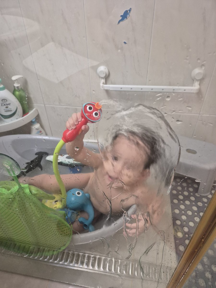 리바노스 tweet media