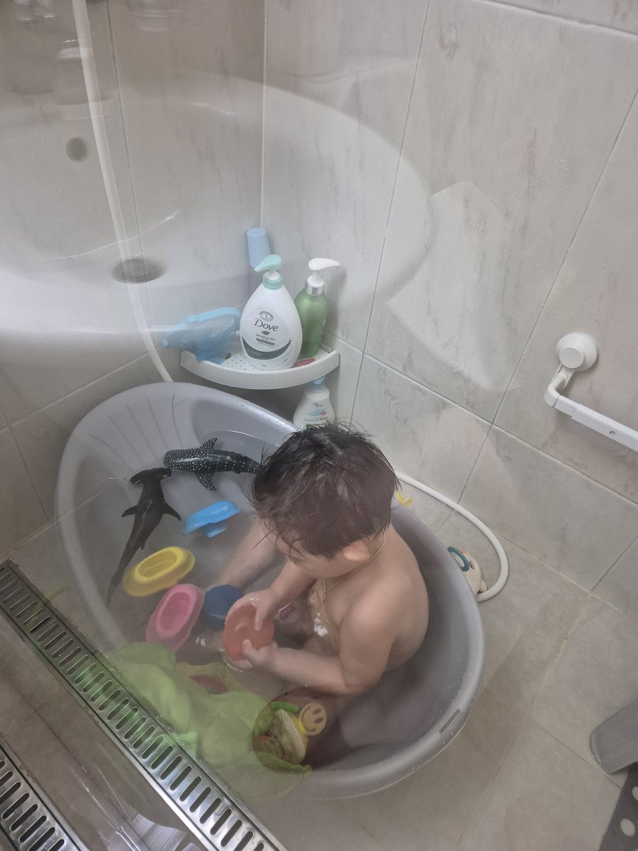 리바노스 tweet media