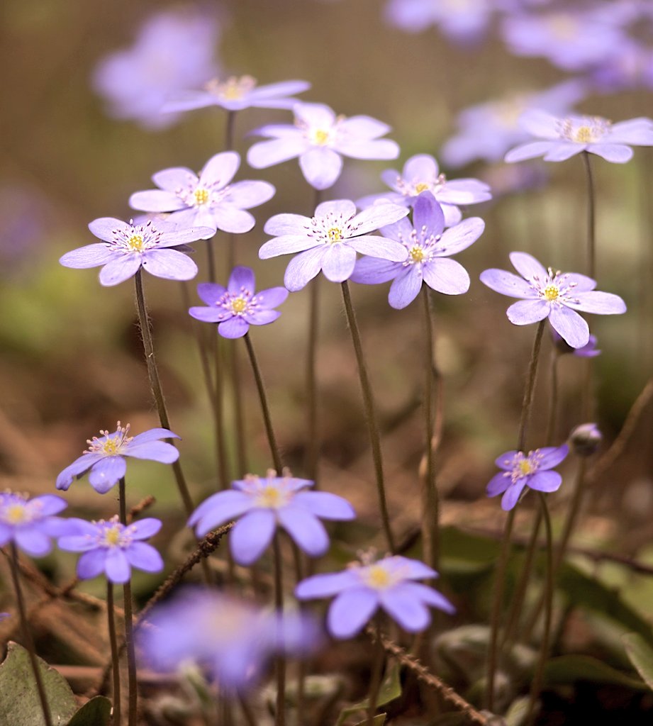 Cian McCarthy tweet media