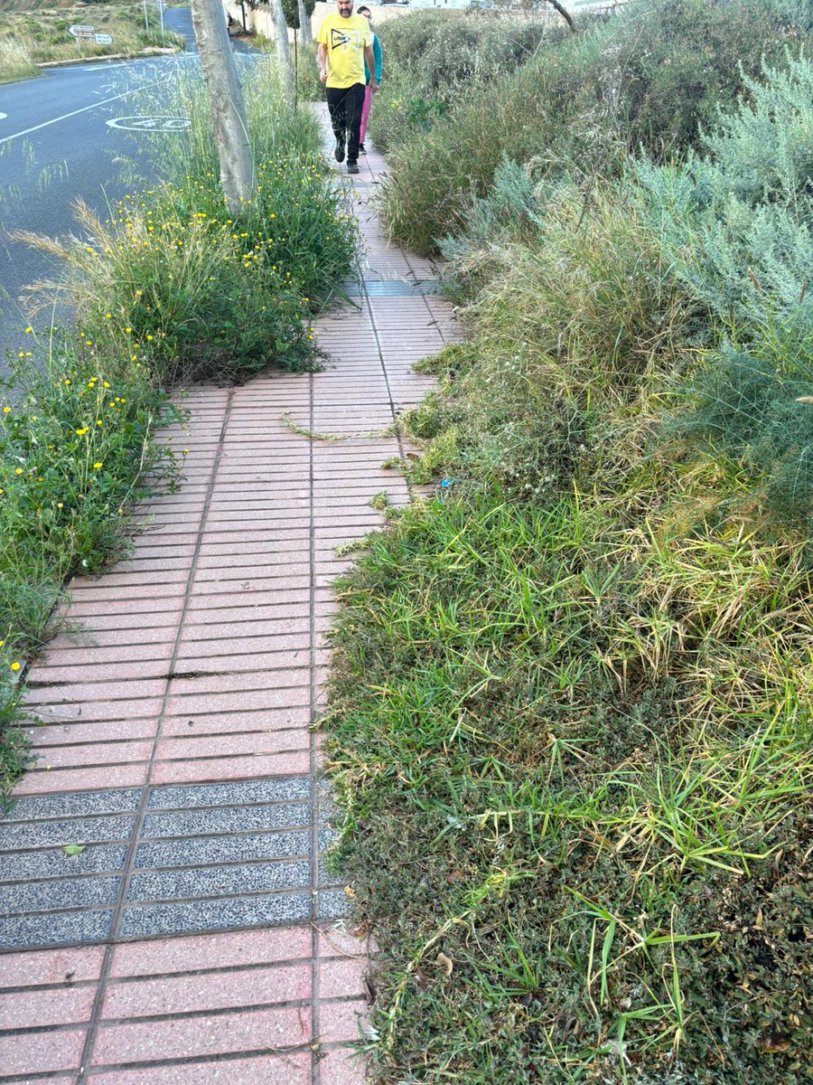 Nueva Canarias Telde tweet media