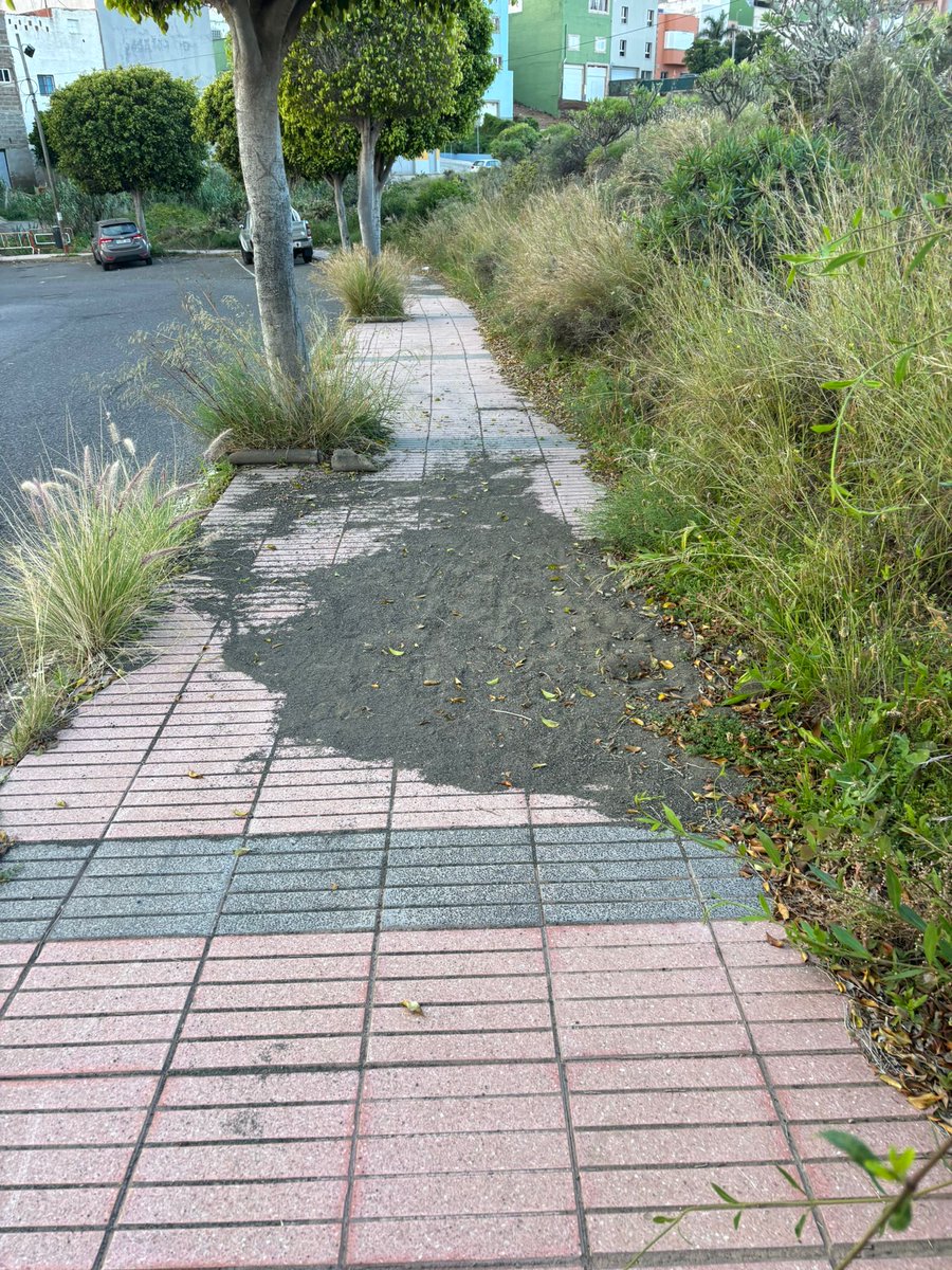 Nueva Canarias Telde tweet media