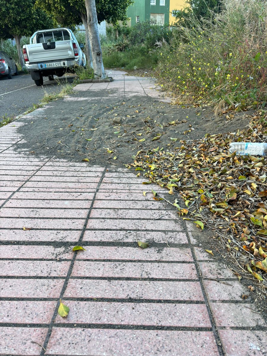 Nueva Canarias Telde tweet media