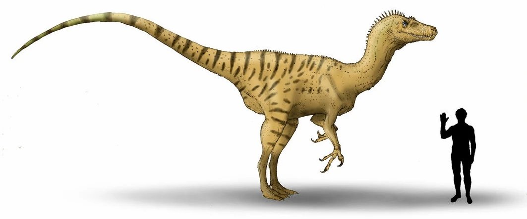 DiscussingUma tweet media