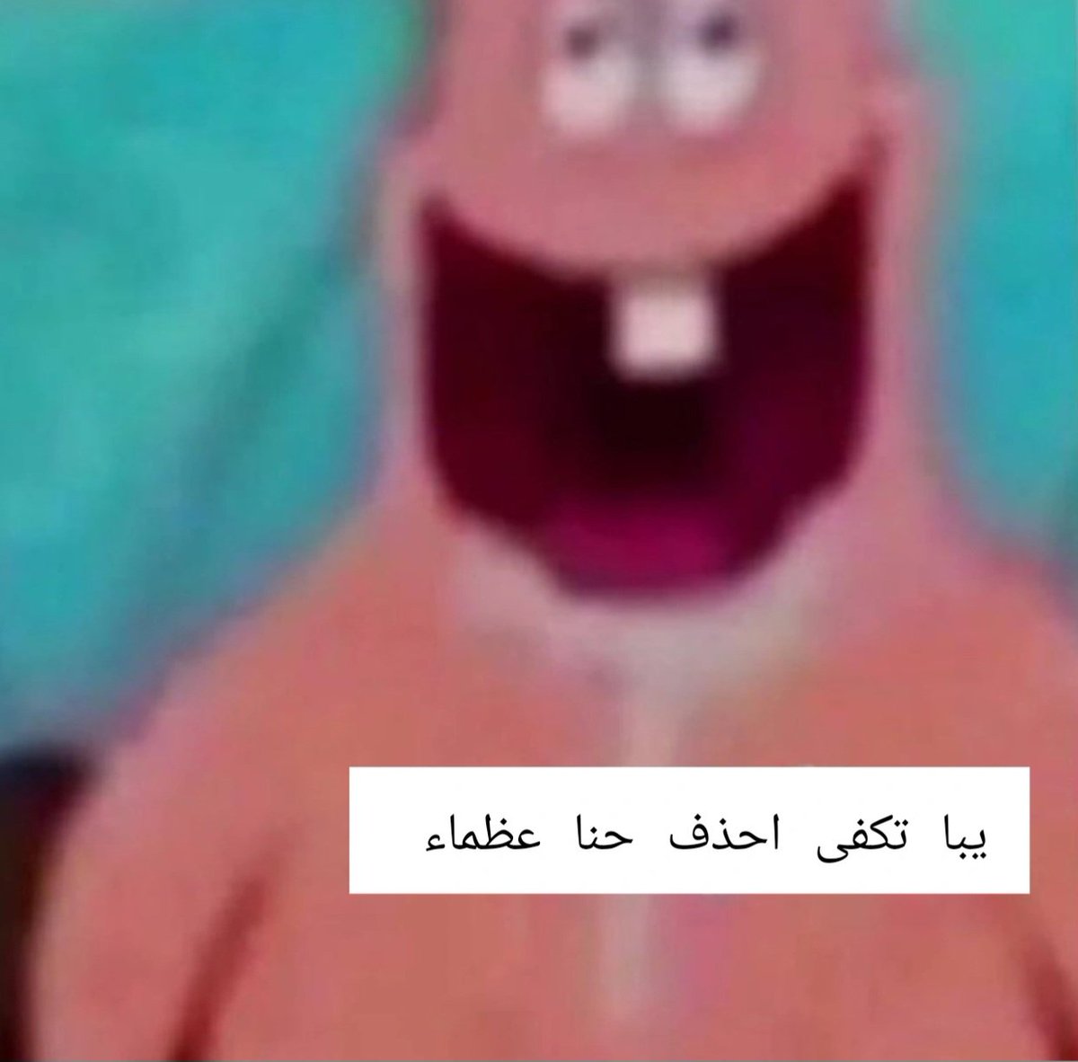 ℳℴ𝒽𝒶𝓂𝓂ℯ𝒹 tweet media