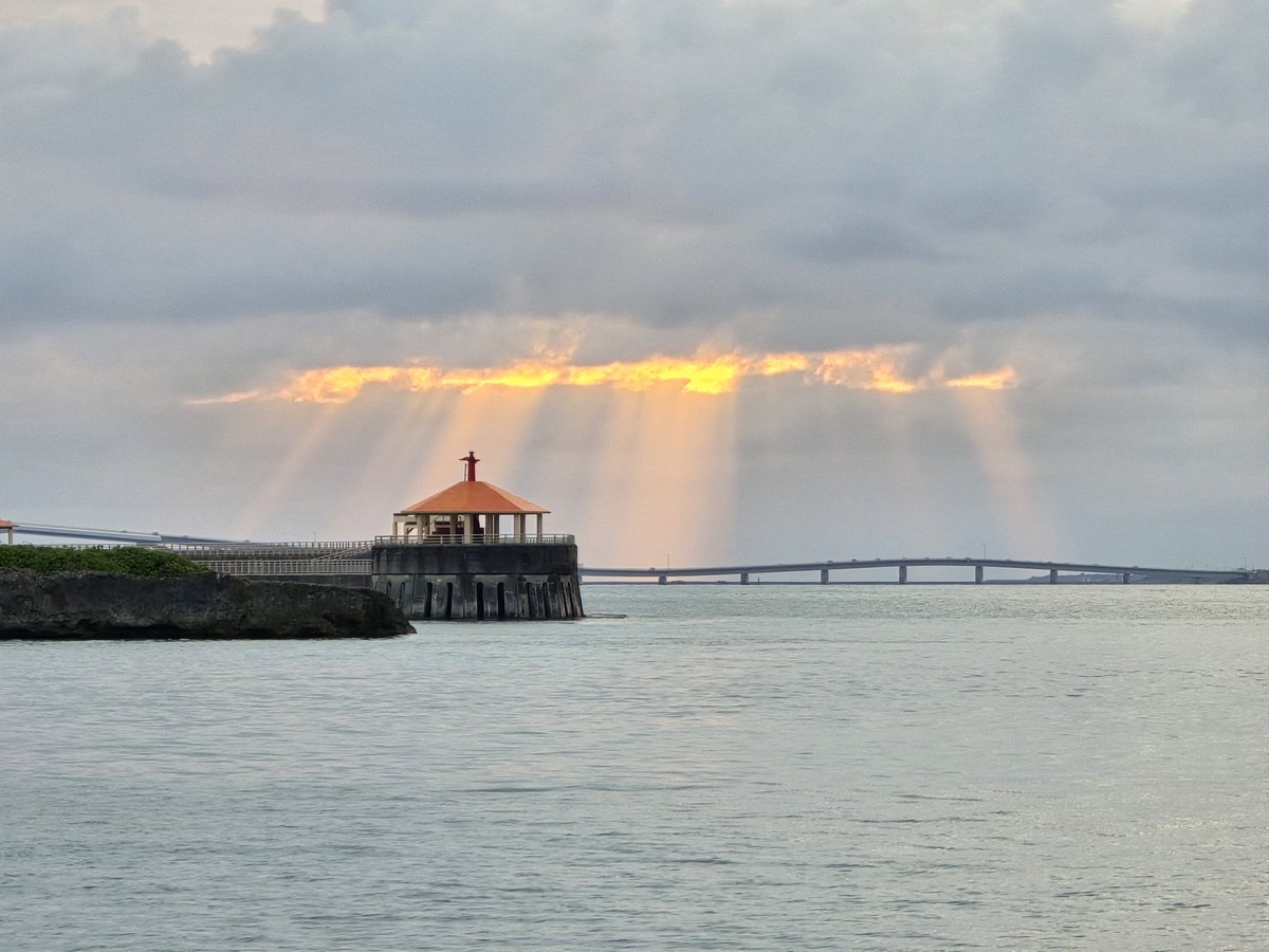 むちぃ tweet media