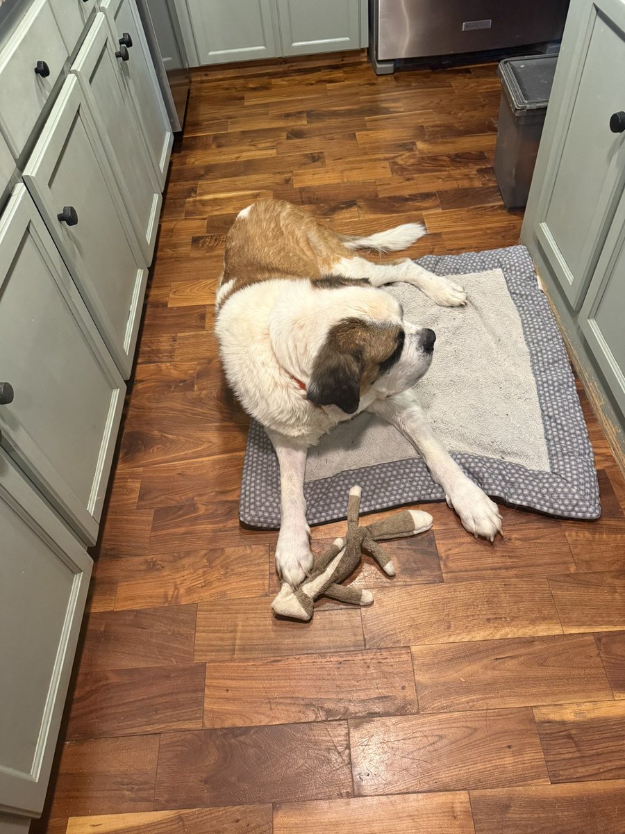 Pirate/Wings tweet media