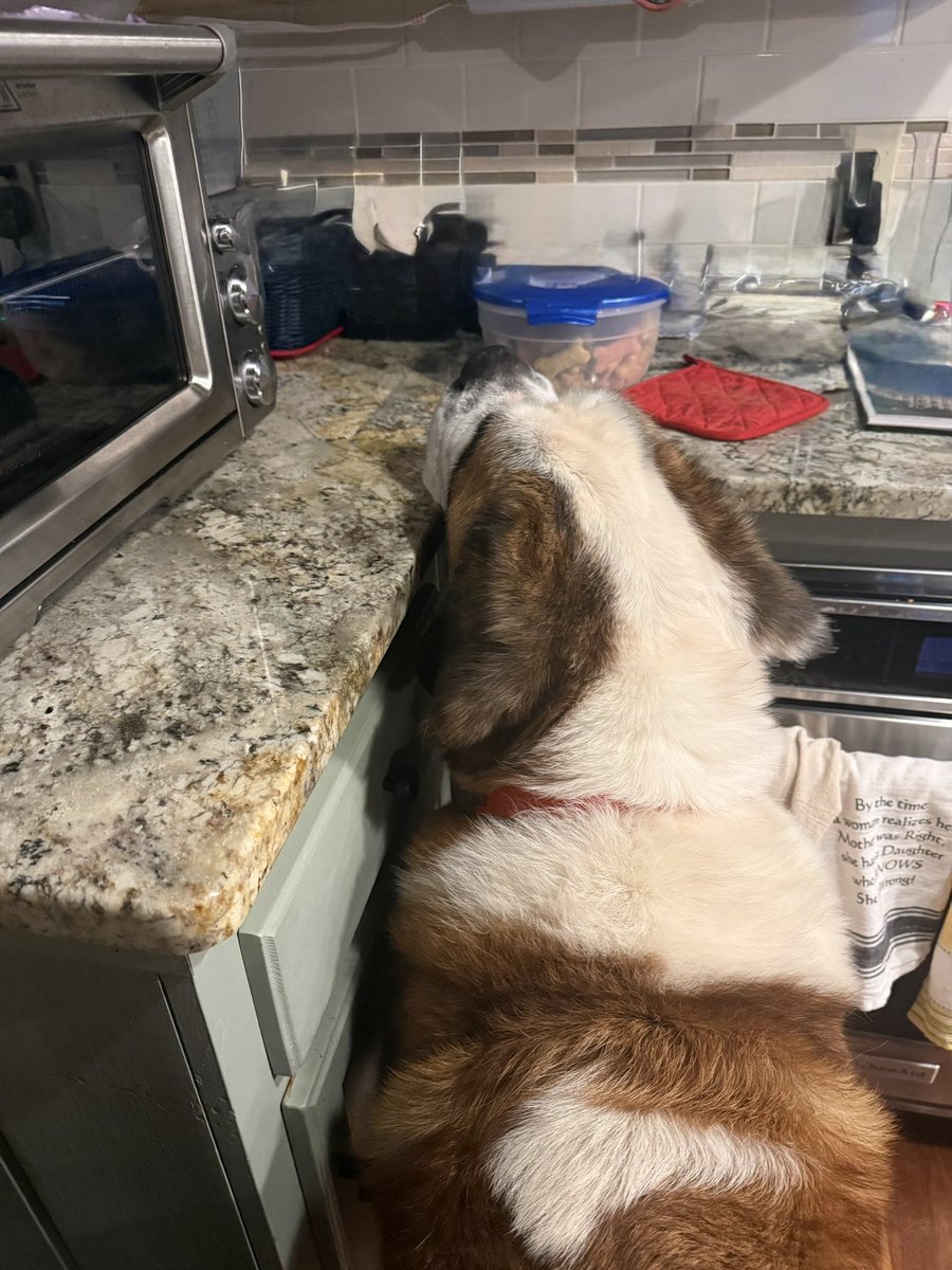 Pirate/Wings tweet media