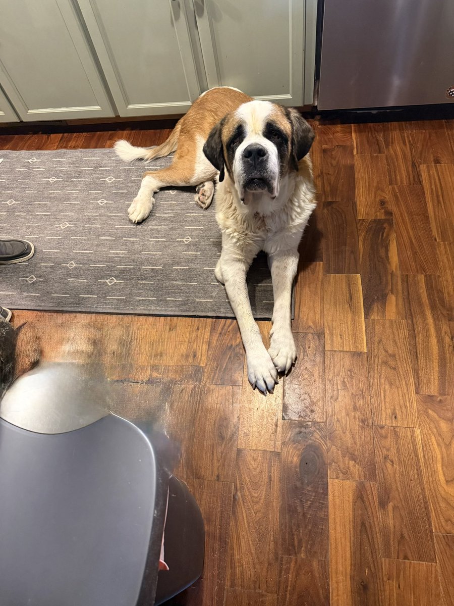 Pirate/Wings tweet media