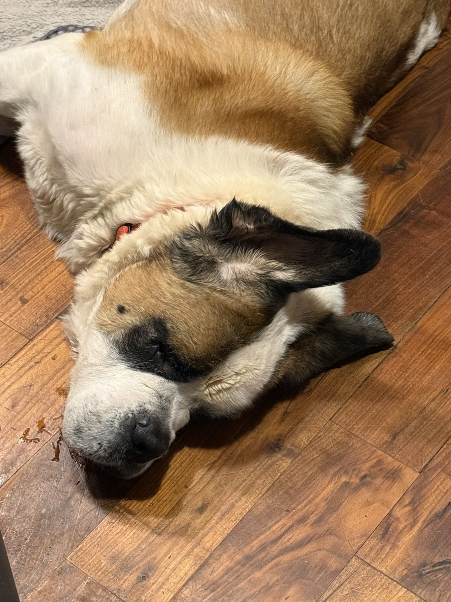 Pirate/Wings tweet media