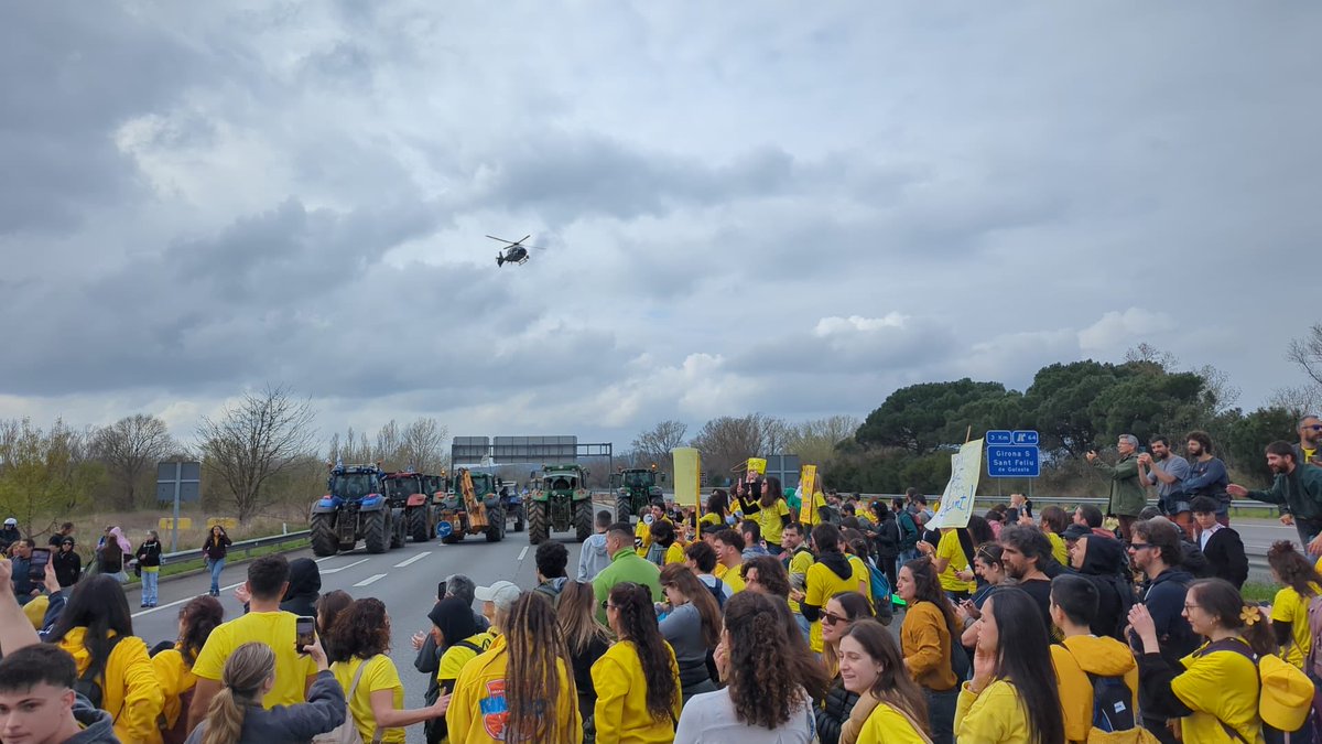 david caño tweet media