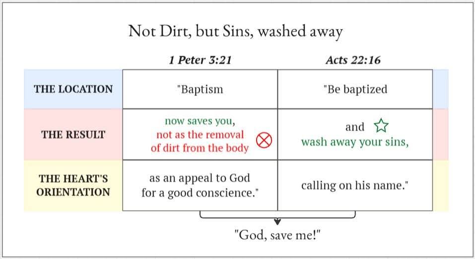 Springhouse ⛲ tweet media