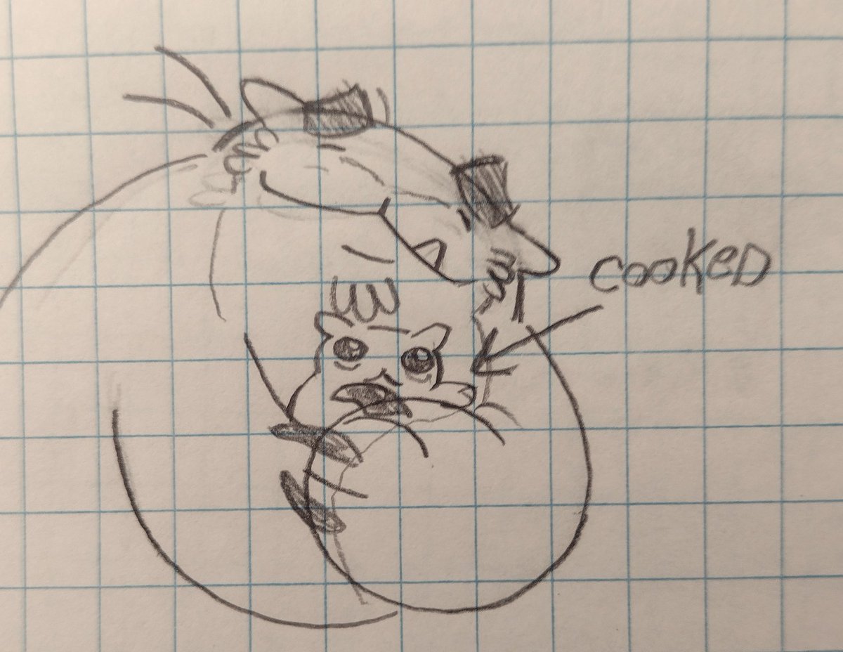 icchr_ nsfw DNI‼️ tweet media