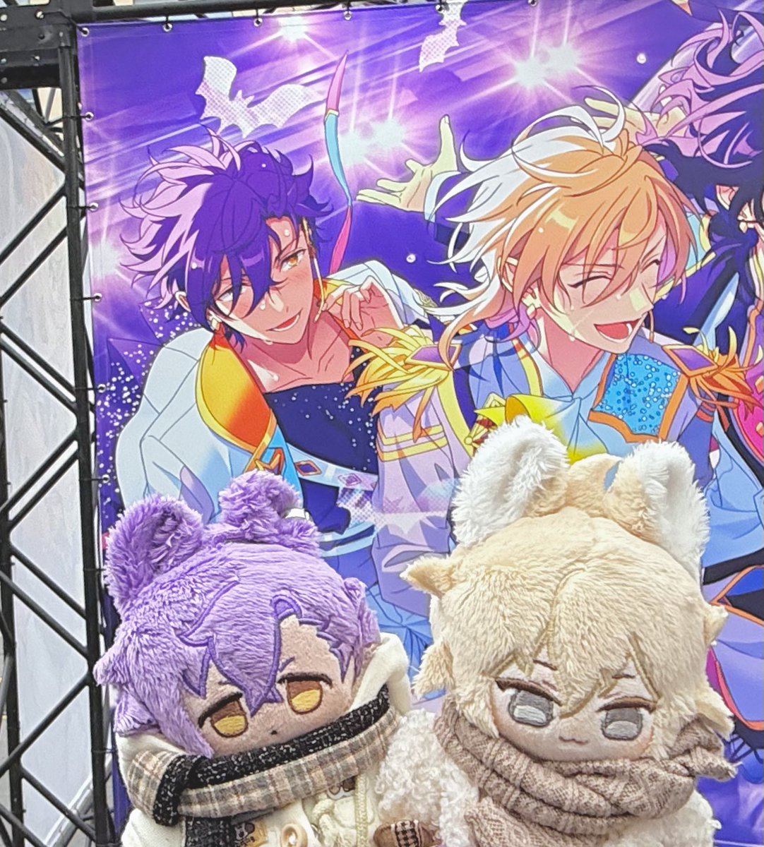 斑雀 tweet media