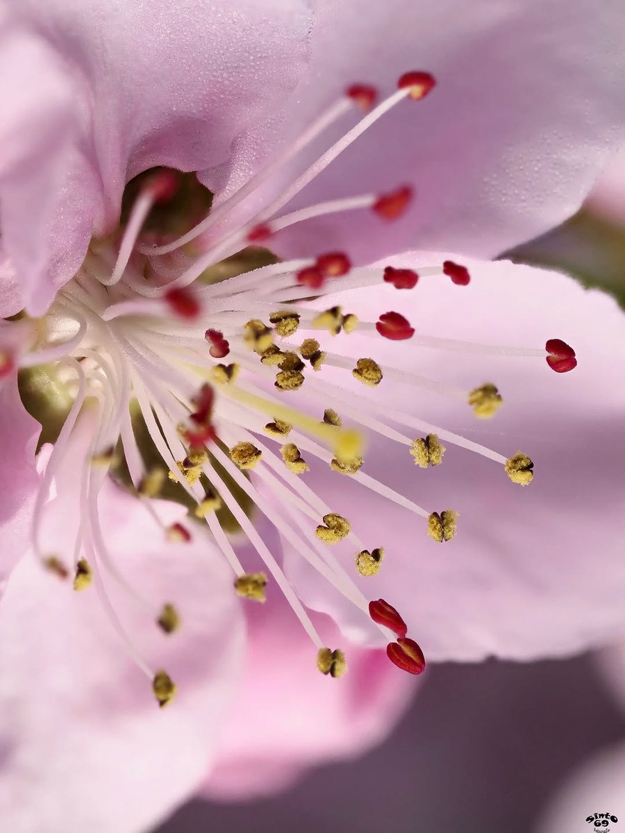 Segrià Turisme tweet media
