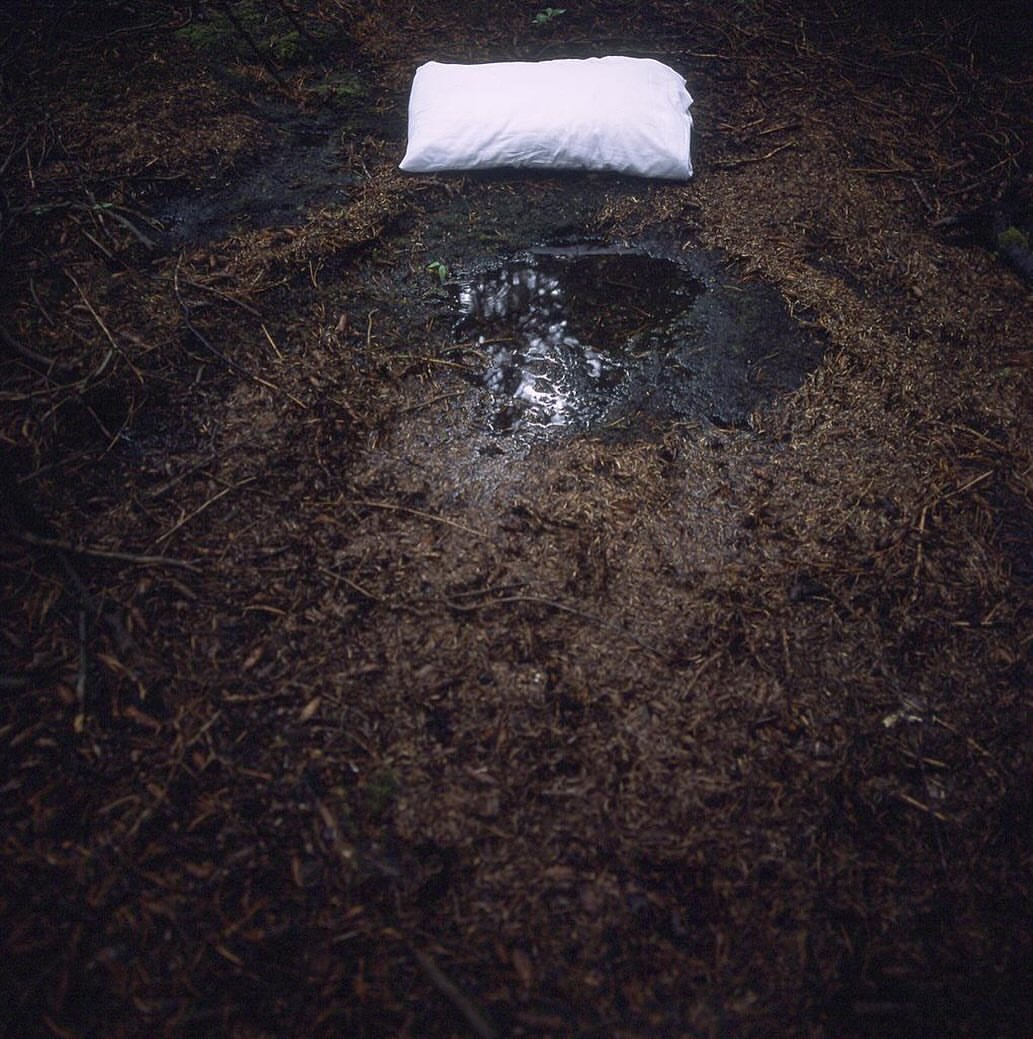 Composition tweet media