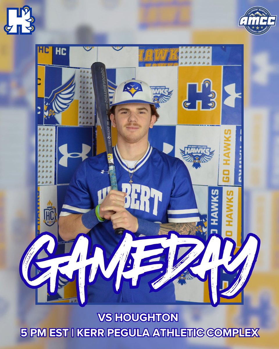 Hilbert College Baseball tweet media