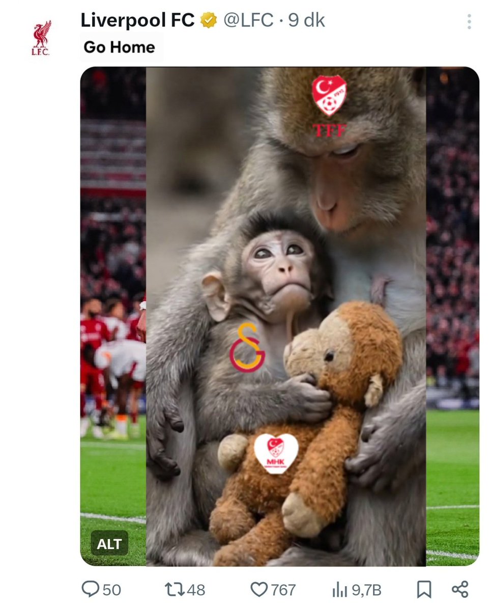 CaNaRY's HuNTeR tweet media